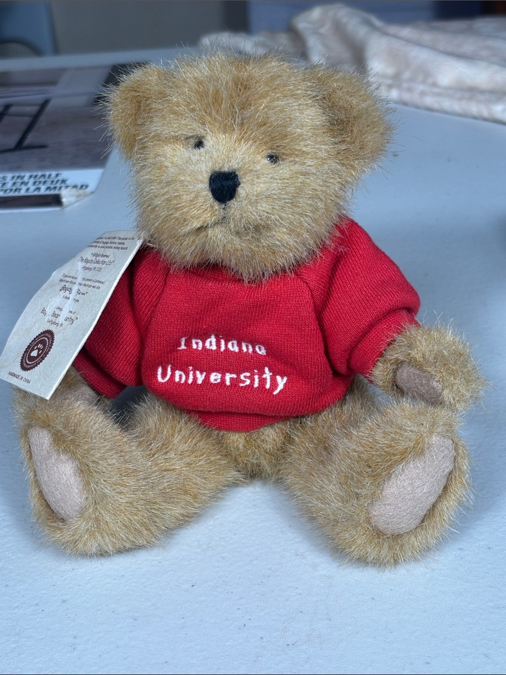 Boyds Head Bean Indiana University Teddy Bear Plush IU Hoosiers 5” With Hang Tag - Picture 15 of 15